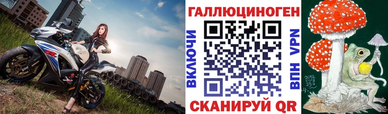 Купить где Нижневартовск Галлюциногенные грибы GOLDEN TEACHER